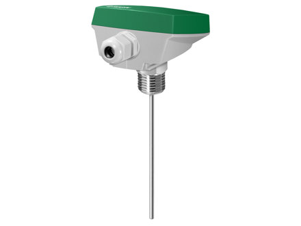 Immersion sensor with housing, without well, R1/2”