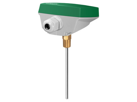 Immersion sensor with housing, without well, R1/4”